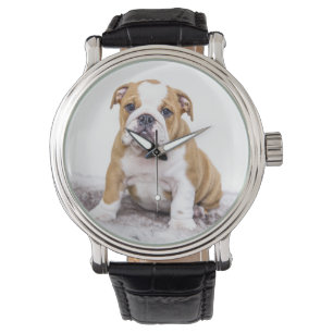 Cute Bulldog Puppy Sitta Down Armbandsur