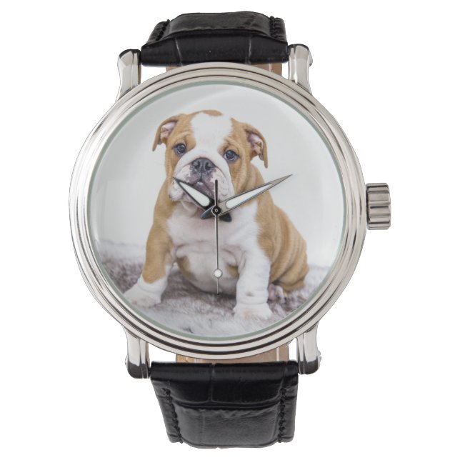 Cute Bulldog Puppy Sitta Down Armbandsur (Framsida)