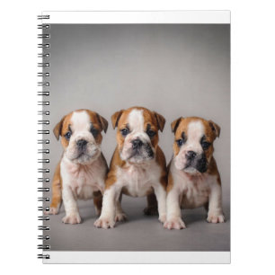 Cute Bulldog-valpar Hundälskare Gift Anteckningsbok
