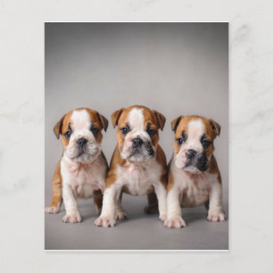 Cute Bulldog-valpar Hundälskare Gift Flygblad