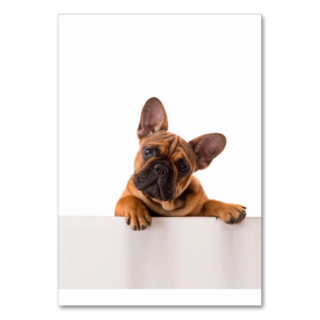 Cute Bulldog | Verkligen Cute, Engelska bulldog Bordsnummer (Framsidan)