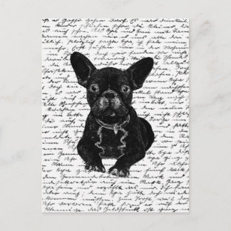Cute bulldog vykort