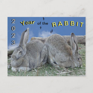 Cute Bunnies 2023 År för kaninpostkort Vykort