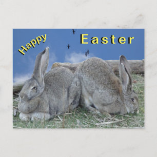 Cute Bunnies Glad påsk vykort