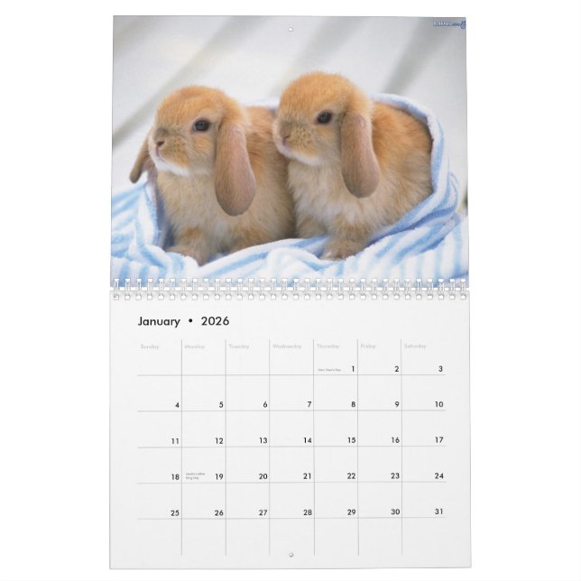 Cute Bunnies Kalender (Jan 2026)