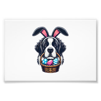 Cute Bunny Ear Saint Bernard Dog Easter Egg Owner  Fototryck