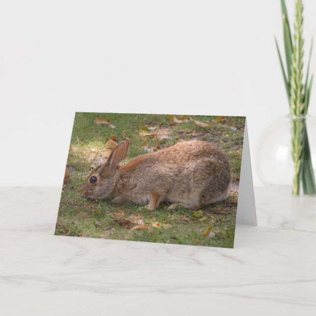 Cute Bunny Helgkort (Framsida)