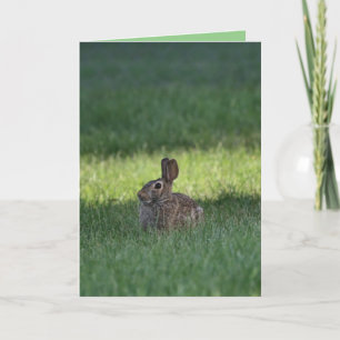 Cute bunny kort
