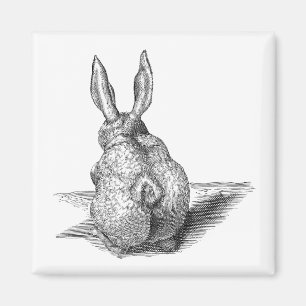 Cute Bunny Magnet