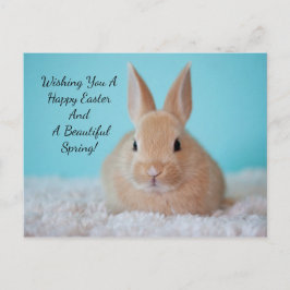 Cute Bunny Påsk Helg Vykort