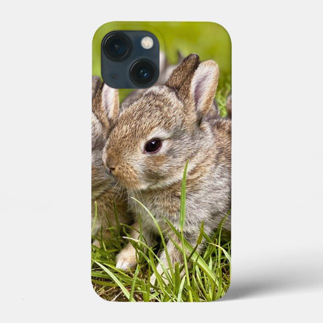 Cute Bunny Rabbit (Baksida)