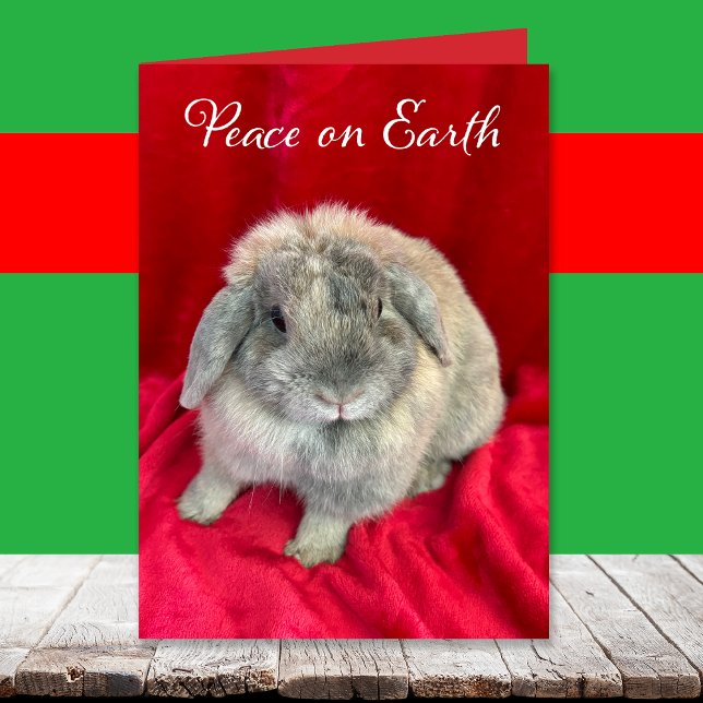 Cute Bunny Rabbit Christmas Cards Helgkort (Skapare uppladdad)