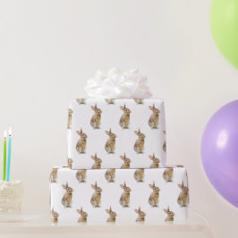 Cute Bunny Rabbit On White Presentpapper