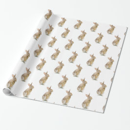 Cute Bunny Rabbit On White Presentpapper