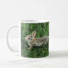Cute Bunny Rabbit Photo Kaffemugg