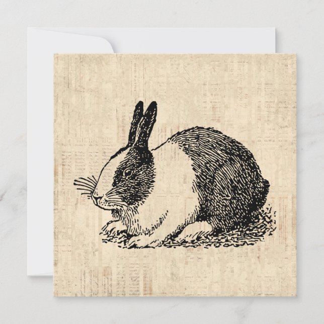 Cute Bunny Rabbit Vintage Animal Art Illustration Inbjudningar (Framsida)