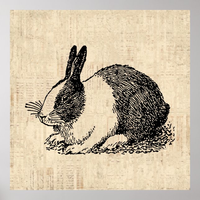 Cute Bunny Rabbit Vintage Animal Art Illustration Poster (Framsidan)