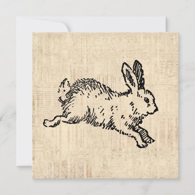 Cute Bunny Rabbit Vintage Illustration Script Art Inbjudningar (Framsida)