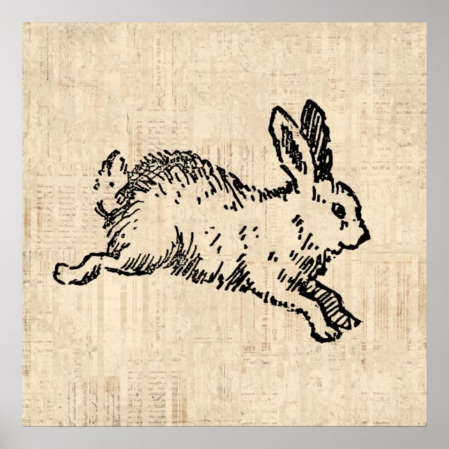Cute Bunny Rabbit Vintage Illustration Script Art Poster (Framsidan)