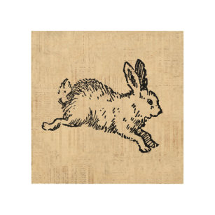 Cute Bunny Rabbit Vintage Illustration Script Art Trätavla