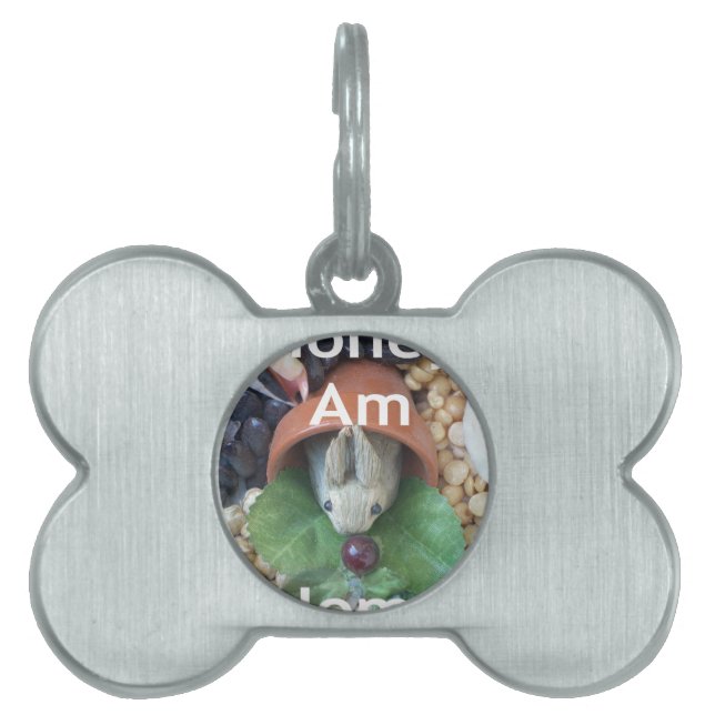 Cute Bunny Snacking Namnbricka Husdjur (Framsidan)