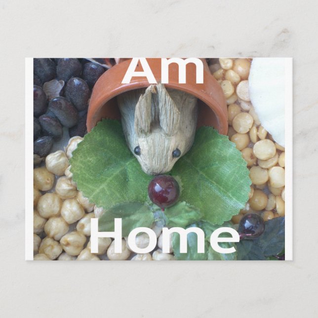 Cute Bunny Snacking Vykort (Framsida)