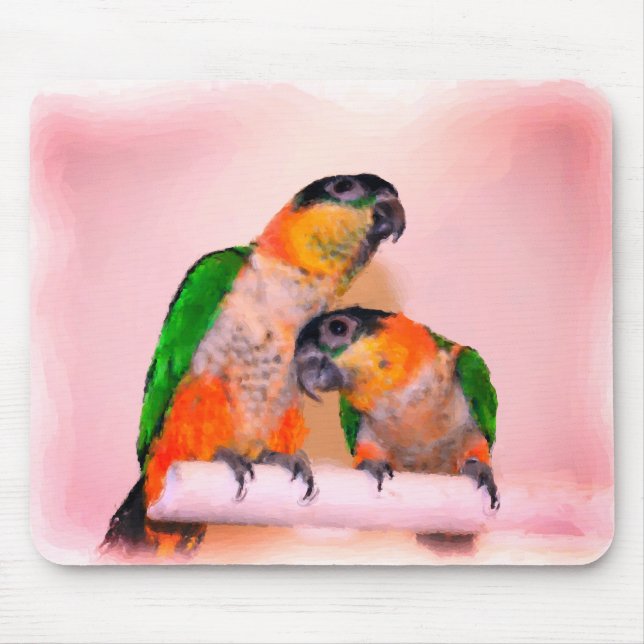 Cute Caique Parrot Pair Bird Art Musmatta (Framsidan)