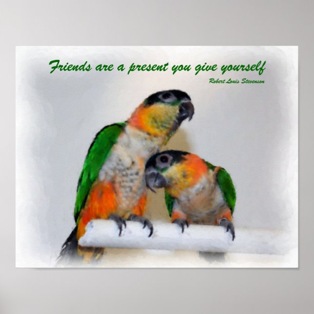 Cute Caique Parrot Pair Friends Quote Poster (Framsidan)