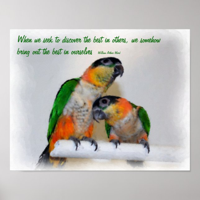 Cute Caique Parrots inspirational Quote Poster (Framsidan)