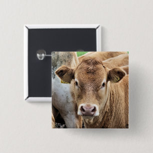 CUTE CALF KNAPP