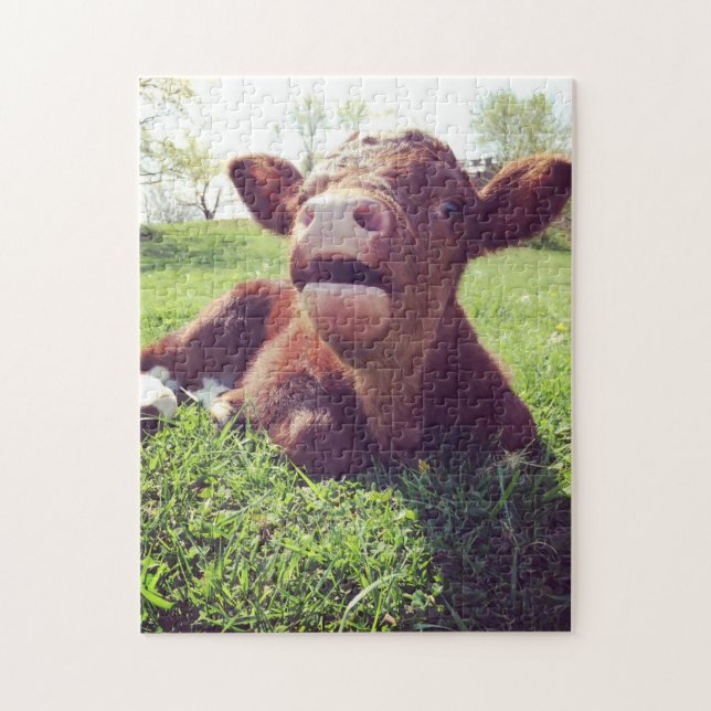 Cute Calf-louning i betet Pussel (Vertikal)