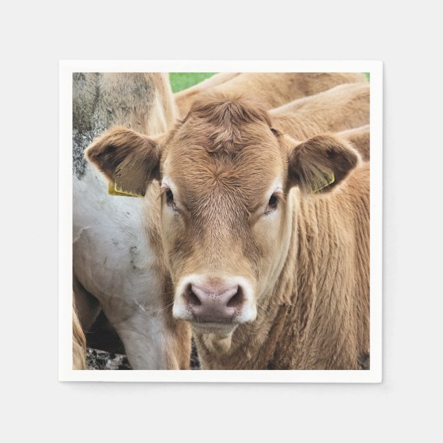 CUTE CALF PAPPERSSERVETT (Framsidan)