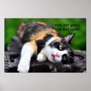 Cute Calico Cat, "Inte generiska livsmedel igen!"  Poster