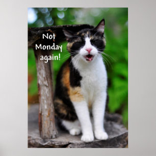 Cute Calico Cat: "Inte måndag igen!" Poster