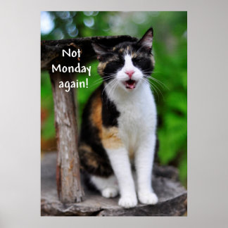 Cute Calico Cat: "Inte måndag igen!" Poster