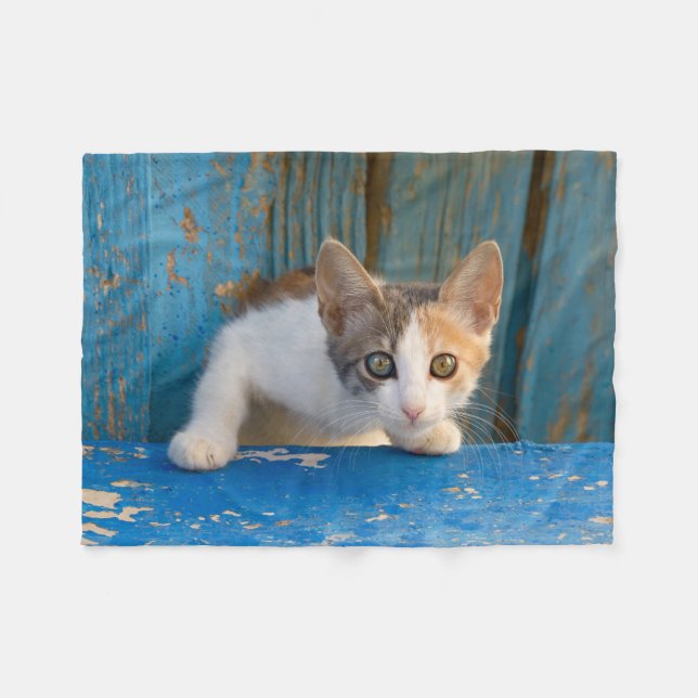 Cute Calico Cat Kitten Funny Nyfiknare Ögon Photo  Fleecefilt (Framsidan (Horisontell))