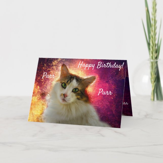 Cute Calico Cat Kort (Framsida)