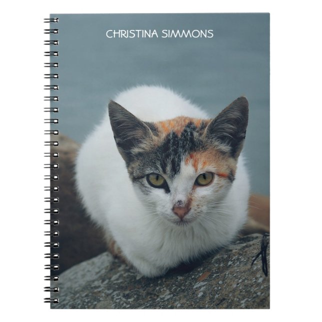 Cute Calico Cat Personlig - bärbar dator Anteckningsbok (Framsidan)