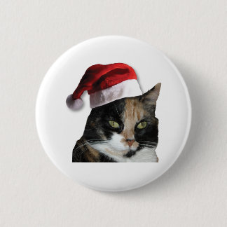 Cute Calico Cat Wearing Santa Hat Knapp