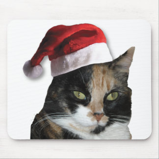 Cute Calico Cat Wearing Santa Hat Musmatta