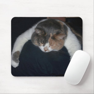 Cute Calico Sleeping Cat over Shoulder Musmatta