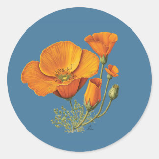 Cute California Poppy Flower Vintage Sticker Lakan Runt Klistermärke