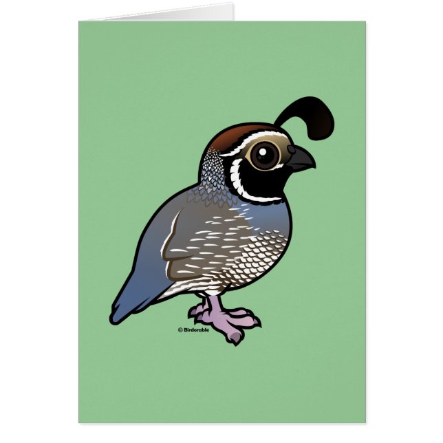 Cute California Quail Hälsningskort (Framsidan)