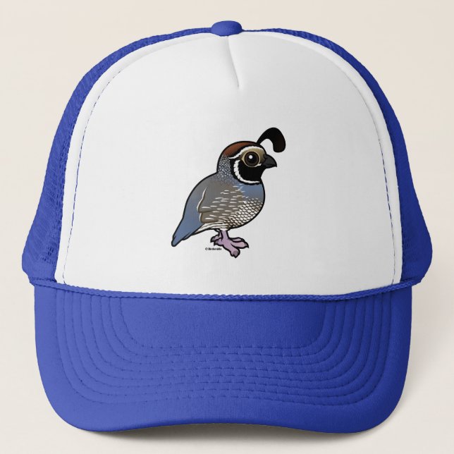 Cute California Quail Keps (Framsida)