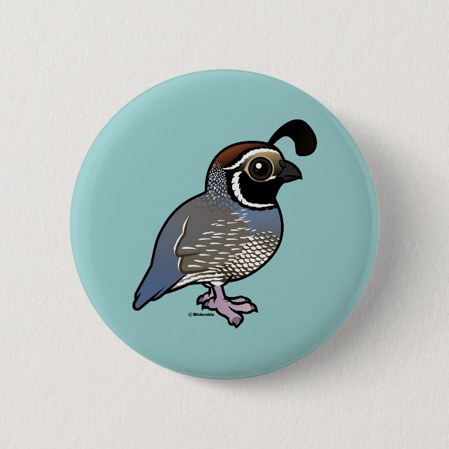Cute California Quail Knapp (Framsida)