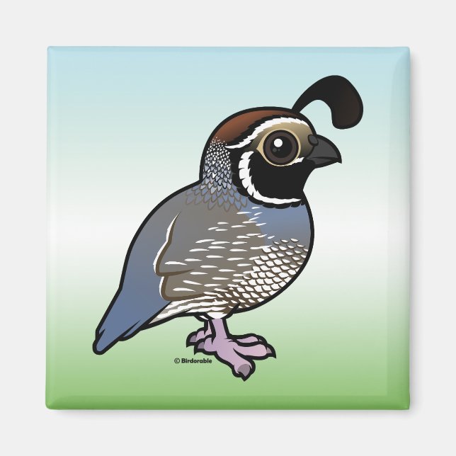 Cute California Quail Magnet (Framsidan)