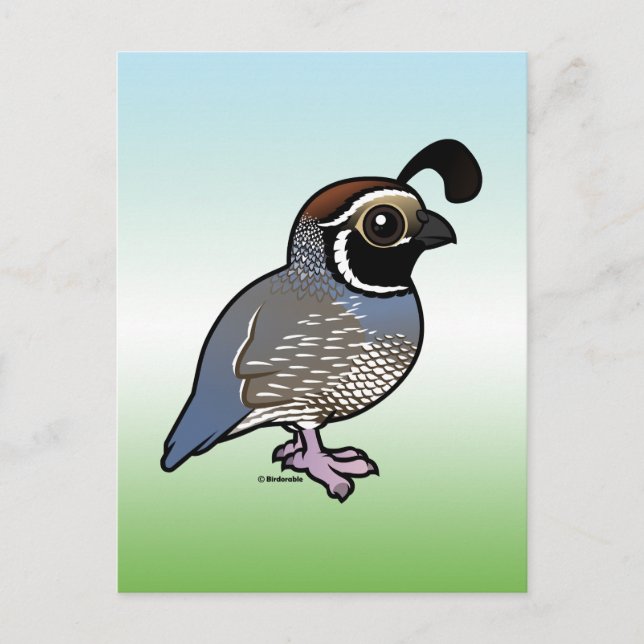 Cute California Quail Vykort (Framsida)