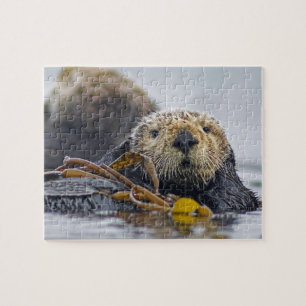 Cute California Sea Otter - vildlivsfotografi Pussel