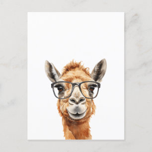 Cute camel med glasögon vykort
