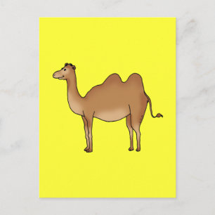 Cute Camel Vykort